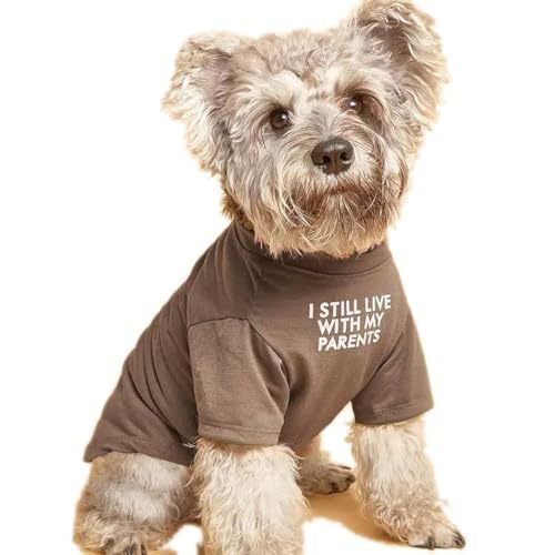 Round Neck Dog T-Shirt - Polyester Pet Tee