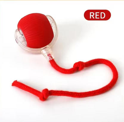 PurrPlay AutoTease Ball - Electric Automatic Cat Toy