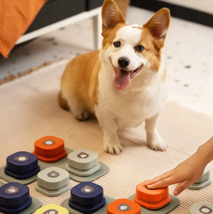 Pet Communication Buttons - Interactive Training Toy