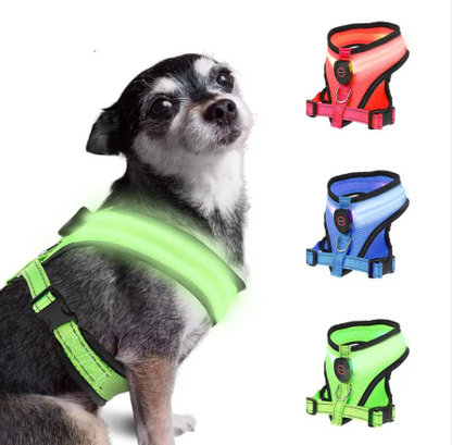 GlowPaws LED Dog Harness - Rechargeable Night Safety Mesh Harness