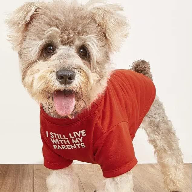 Round Neck Dog T-Shirt - Polyester Pet Tee