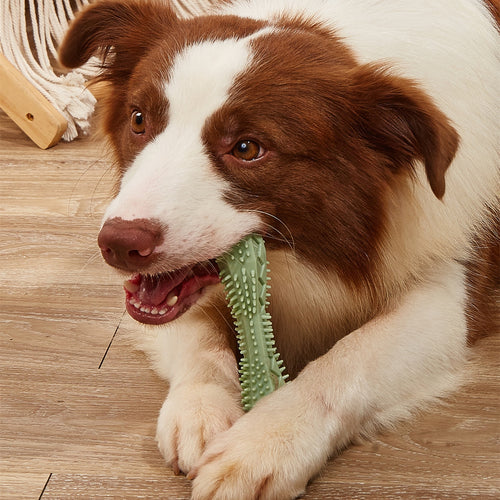 TPR Dog Dental Chew Toy - Teeth Cleaning & Gum Massage Toy