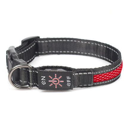 LED Dog Collar - USB-C Rechargeable Light-Up Mesh Collar