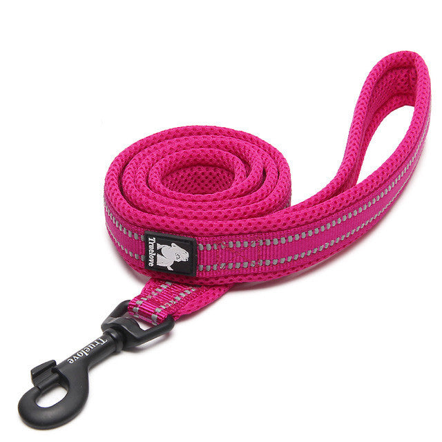 Nylon Dog Leash - Strong Walking Lead for All Breeds