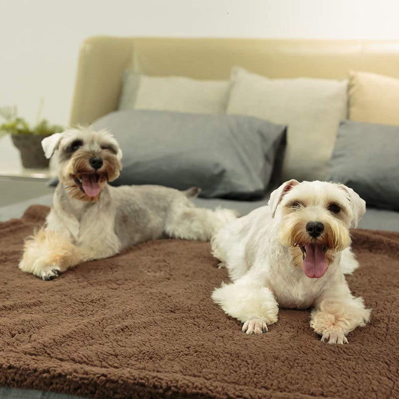 Plush Pet Blanket - Soft Dog & Cat Mat in 5 Sizes
