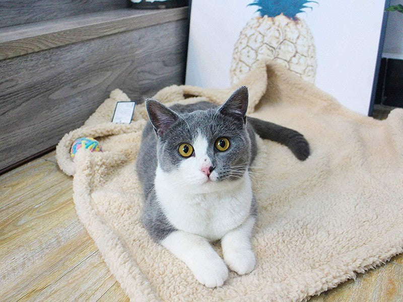 Plush Pet Blanket - Soft Dog & Cat Mat in 5 Sizes