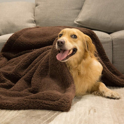 Plush Pet Blanket - Soft Dog & Cat Mat in 5 Sizes