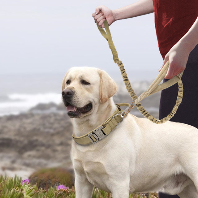 Nylon Dog Collar - Durable Collar for Medium & Large Dogs