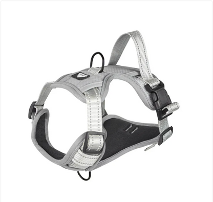 Reflective Dog Harness with Leash - Polyester Walking Set