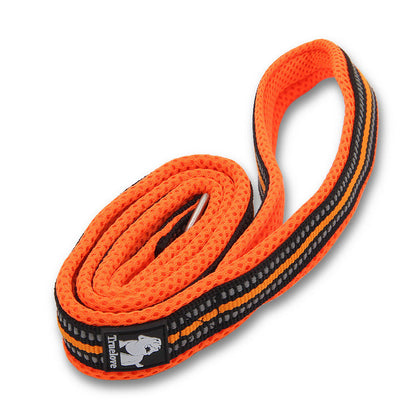 Nylon Dog Leash - Strong Walking Lead for All Breeds