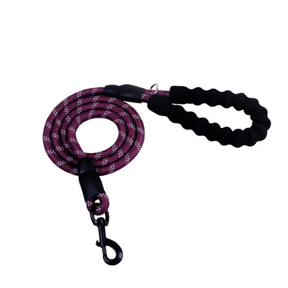 Reflective Nylon Dog Leash with Padded Foam Handle