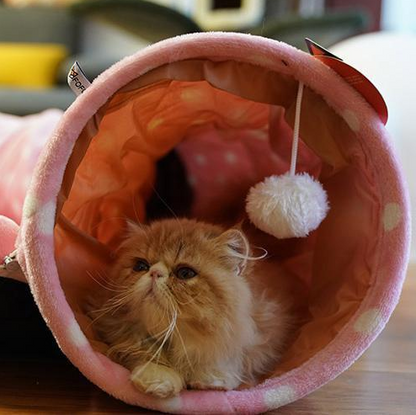 4-in-1 Cat Tunnel, Bed, Mat & Sleeping Bag - Multi-Use Nest