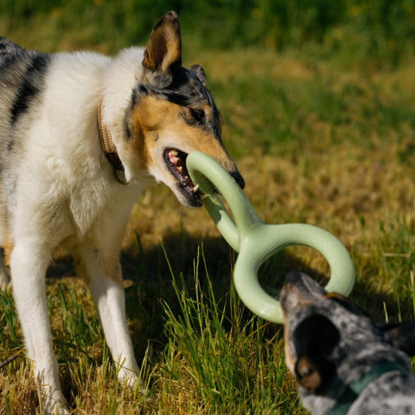 Rubber Dog Tug Toy - Bite-Resistant Pull Toy