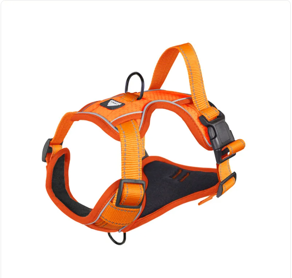 Reflective Dog Harness with Leash - Polyester Walking Set