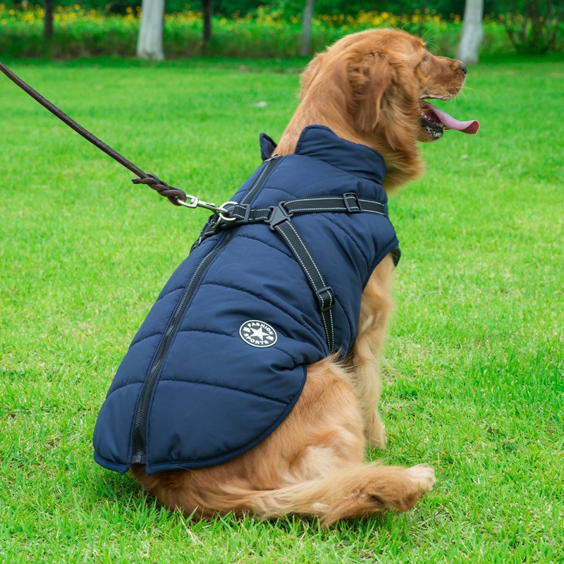 Waterproof Hooded Dog Coat - Winter Jacket for Small Breeds