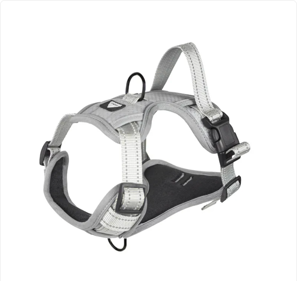 Reflective Dog Harness with Leash - Polyester Walking Set