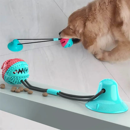Suction Ball Interactive Dog Toy - Wall Mount Chew & Tug