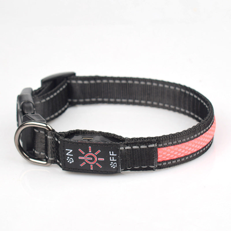 LED Dog Collar - USB-C Rechargeable Light-Up Mesh Collar