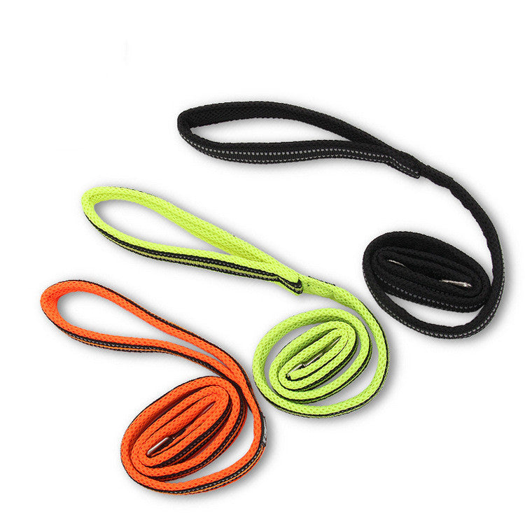 Nylon Dog Leash - Strong Walking Lead for All Breeds
