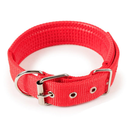 Padded Leather-Lined Dog Collar - Foam Comfort Collar
