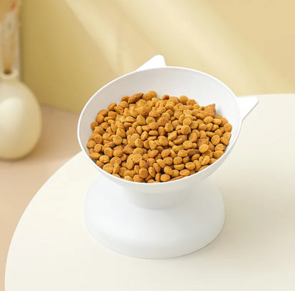 Oversize Plastic Pet Bowl - Wide Food & Water Dish