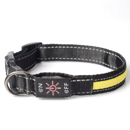 LED Dog Collar - USB-C Rechargeable Light-Up Mesh Collar