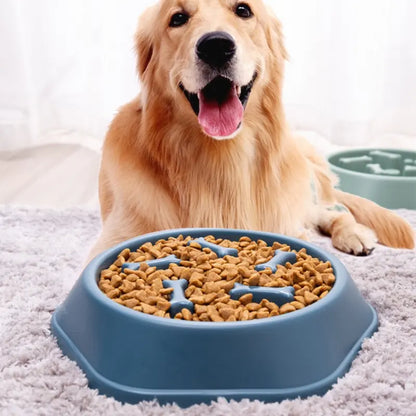 Slow Feeder Pet Bowl - Promotes Healthy Digestion