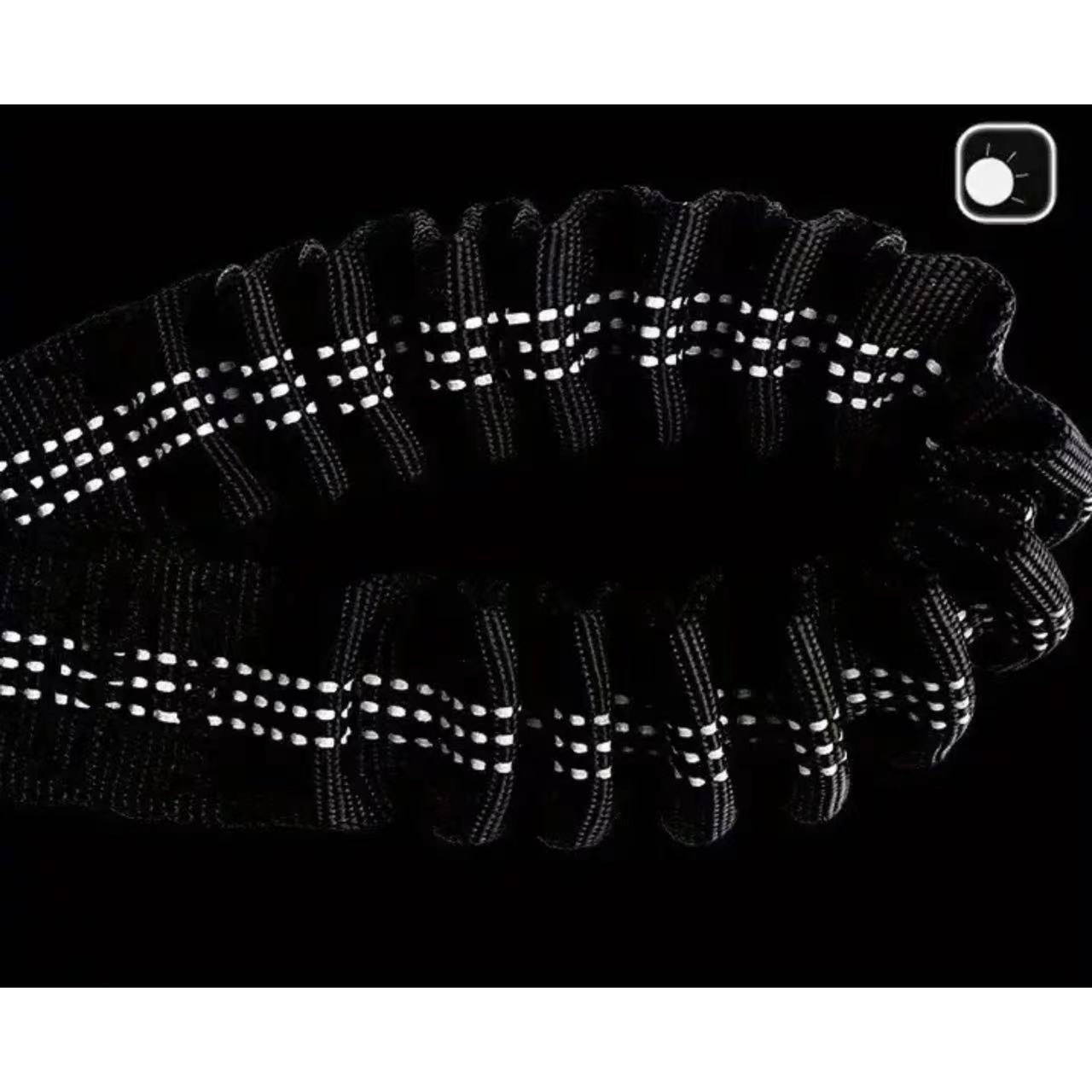 Hands-Free Dog Leash - Dual Dog Waist Traction Belt