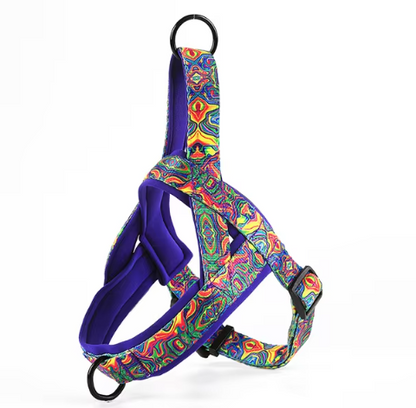 Nylon Dog Harness - Comfortable Adjustable Walking Harness