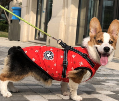 Waterproof Hooded Dog Coat - Winter Jacket for Small Breeds