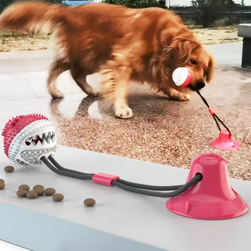 Suction Ball Interactive Dog Toy - Wall Mount Chew & Tug