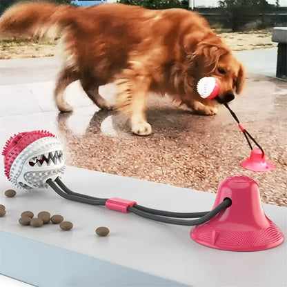 Suction Ball Interactive Dog Toy - Wall Mount Chew & Tug