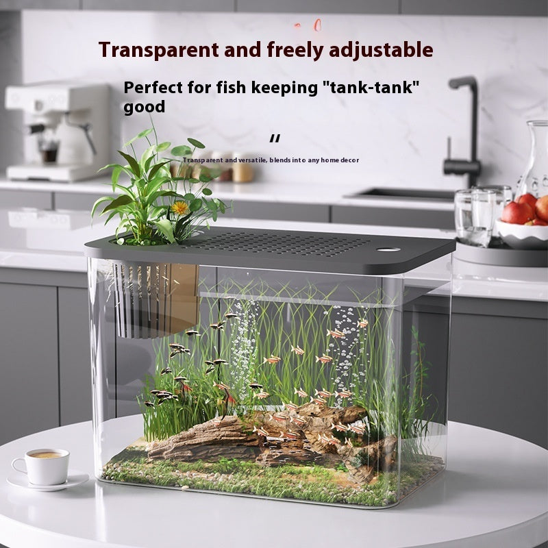 Mini Ecological Betta Tank with Cover - 32cm Desk Aquarium