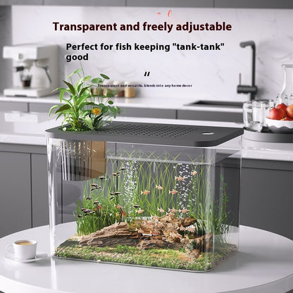 Mini Ecological Betta Tank with Cover - 32cm Desk Aquarium