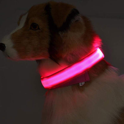 LED Glow Dog Collar - Night Safety Flashing Pet Collar