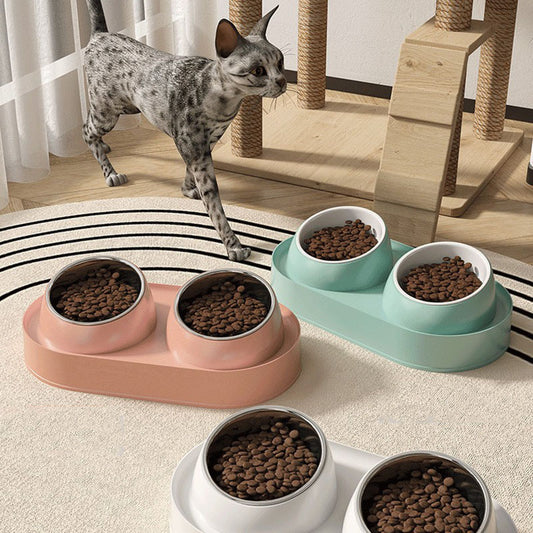 Tilted Double Pet Bowl - Elevated Neck-Protecting Feeder