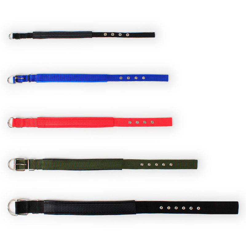 Padded Leather-Lined Dog Collar - Foam Comfort Collar