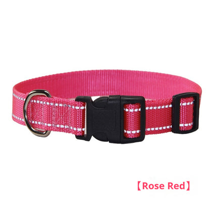 Reflective Dog Collar & Leash - Striped Outdoor Walking Set