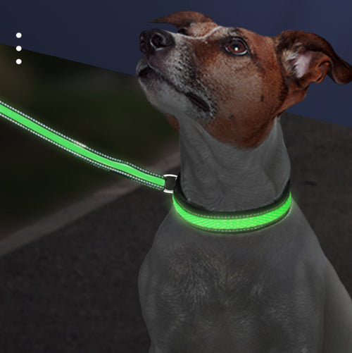 LED Dog Collar - USB-C Rechargeable Light-Up Mesh Collar