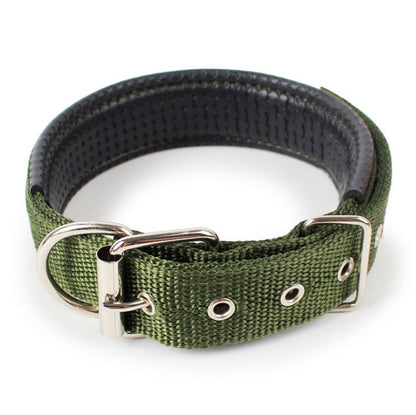 Padded Leather-Lined Dog Collar - Foam Comfort Collar