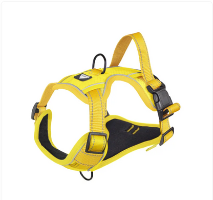 Reflective Dog Harness with Leash - Polyester Walking Set