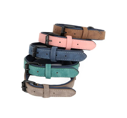 Adjustable Dog Collar & Leash Set - Eco-Friendly PVC