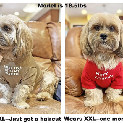 Round Neck Dog T-Shirt - Polyester Pet Tee