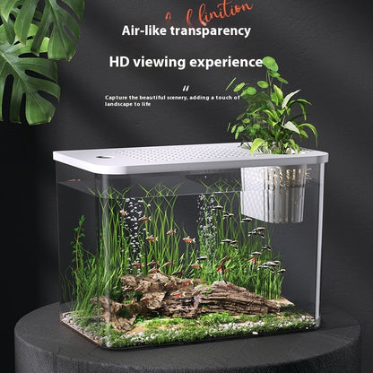 Mini Ecological Betta Tank with Cover - 32cm Desk Aquarium
