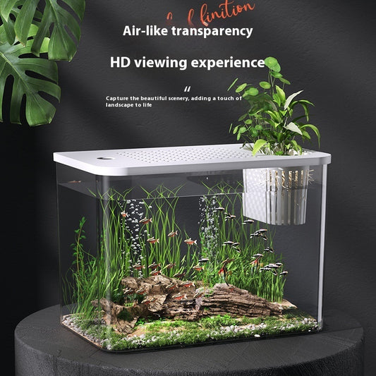 Mini Ecological Betta Tank with Cover - 32cm Desk Aquarium