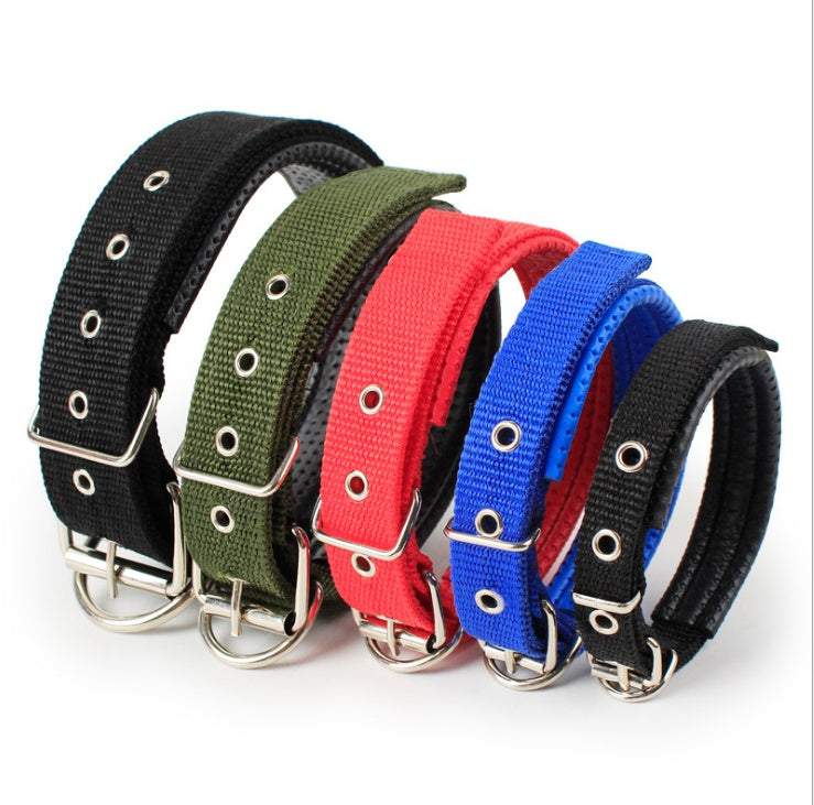 Padded Leather-Lined Dog Collar - Foam Comfort Collar
