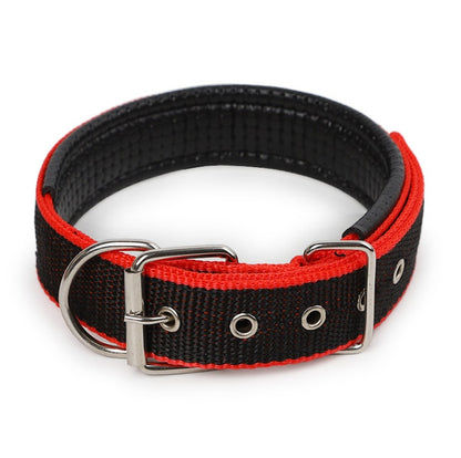 Padded Leather-Lined Dog Collar - Foam Comfort Collar