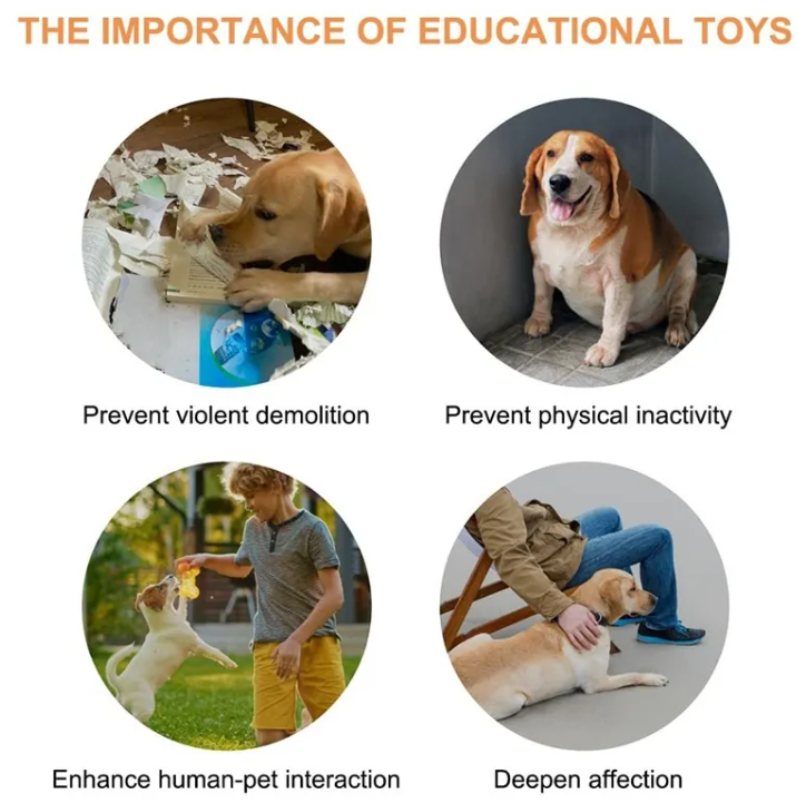 Pet Communication Buttons - Interactive Training Toy