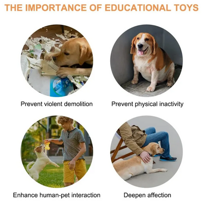 Pet Communication Buttons - Interactive Training Toy