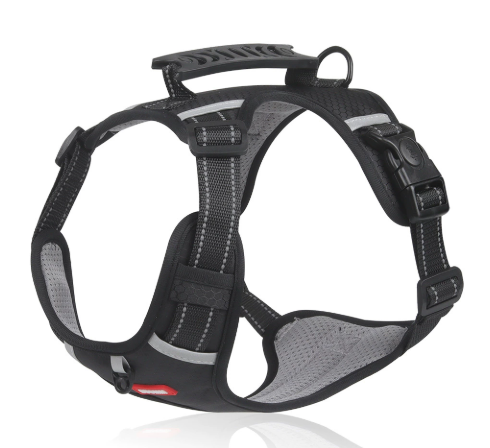 Reflective Dog Harness with Leash - Polyester Walking Set